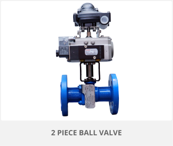 2 PIECE Ball Valve